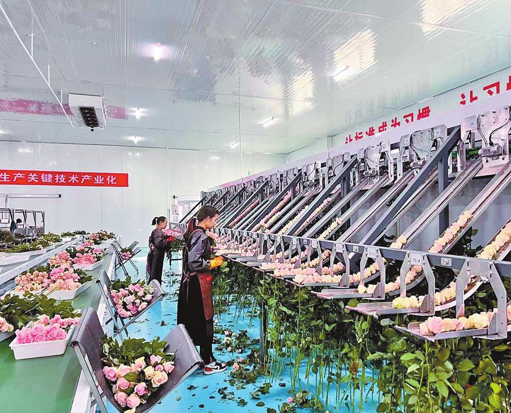 企業(yè)微信截圖_16683897789515