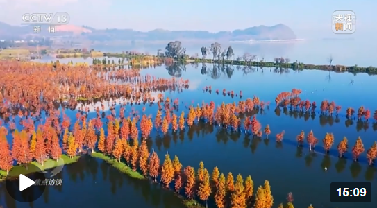 企業(yè)微信截圖_1668392707523 企業(yè)微信截圖_1668392707523