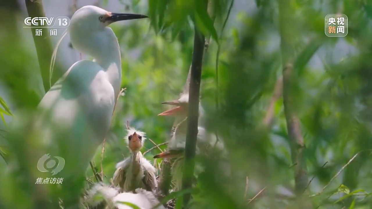 6144d5fe9e99462589b2e94c1c2c0613 6144d5fe9e99462589b2e94c1c2c0613