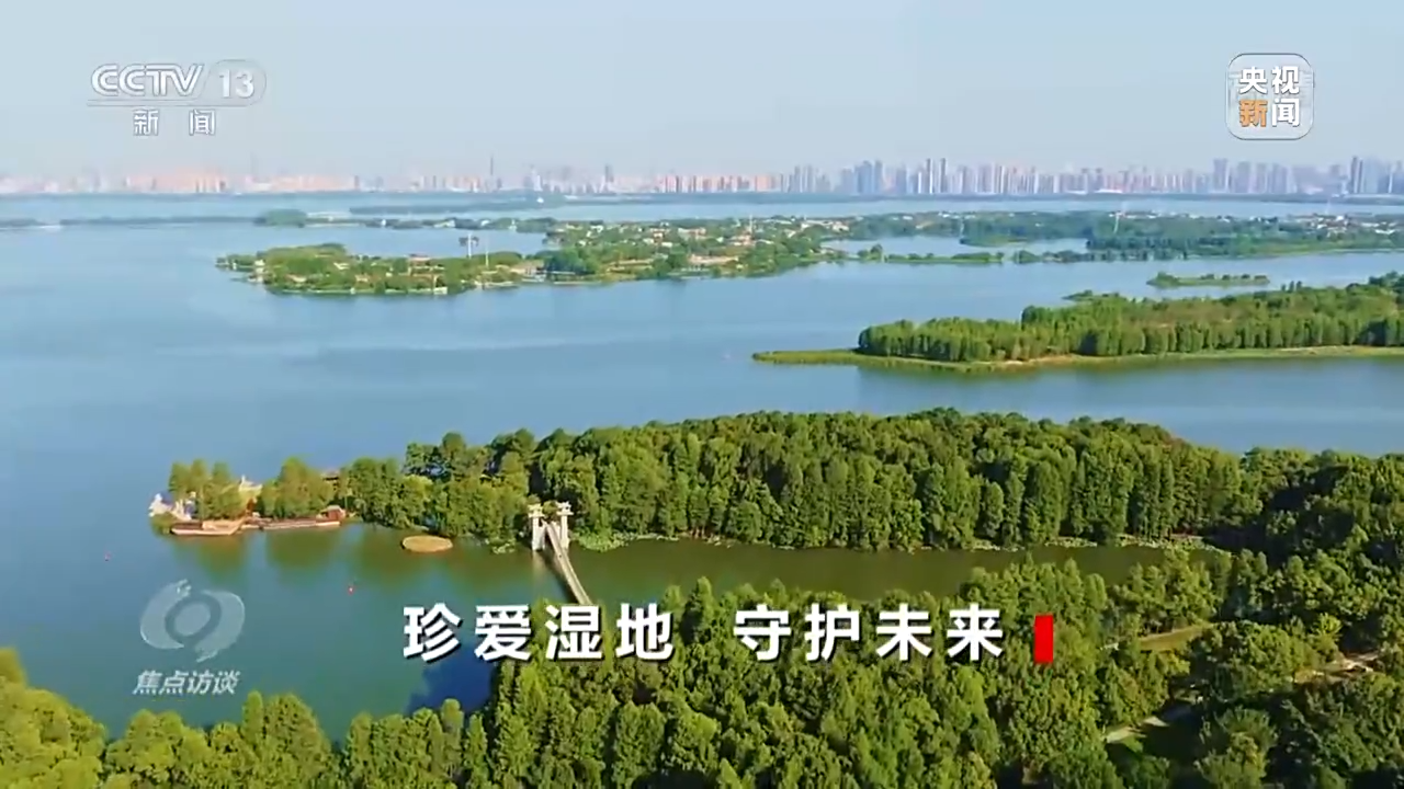 005bff248f6a4d0da5fd2359484dcf17 005bff248f6a4d0da5fd2359484dcf17