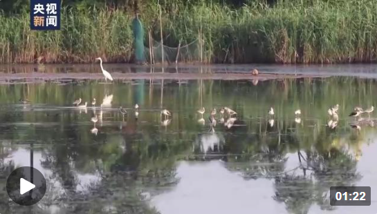 企業(yè)微信截圖_16683970792653