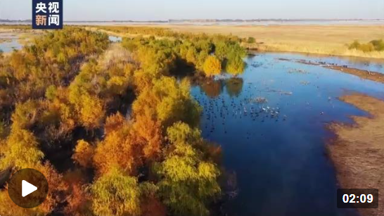 企業(yè)微信截圖_1668397143600