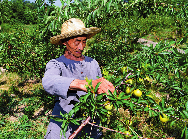 8853c04d1e9444d3ad1ed1bd135f2024