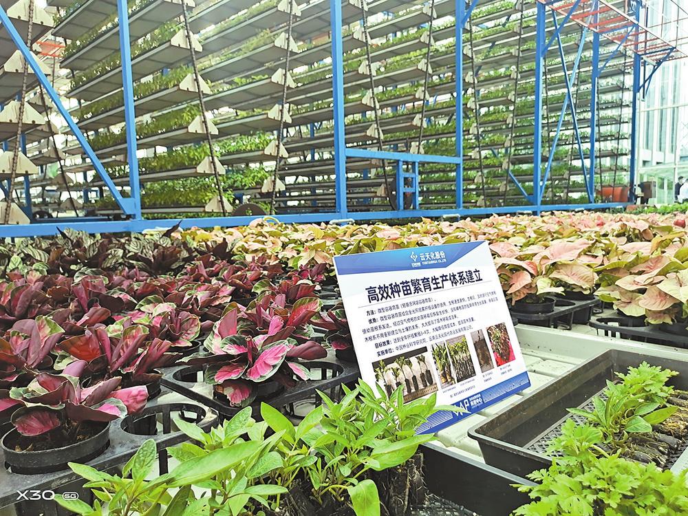 微信圖片_20221115084326 微信圖片_20221115084326