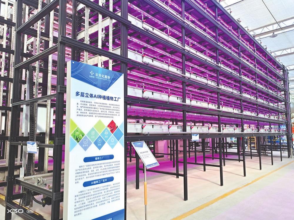 微信圖片_20221115084334 微信圖片_20221115084334