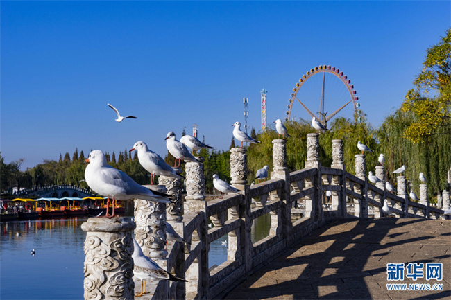 1310676520_16684727762411n