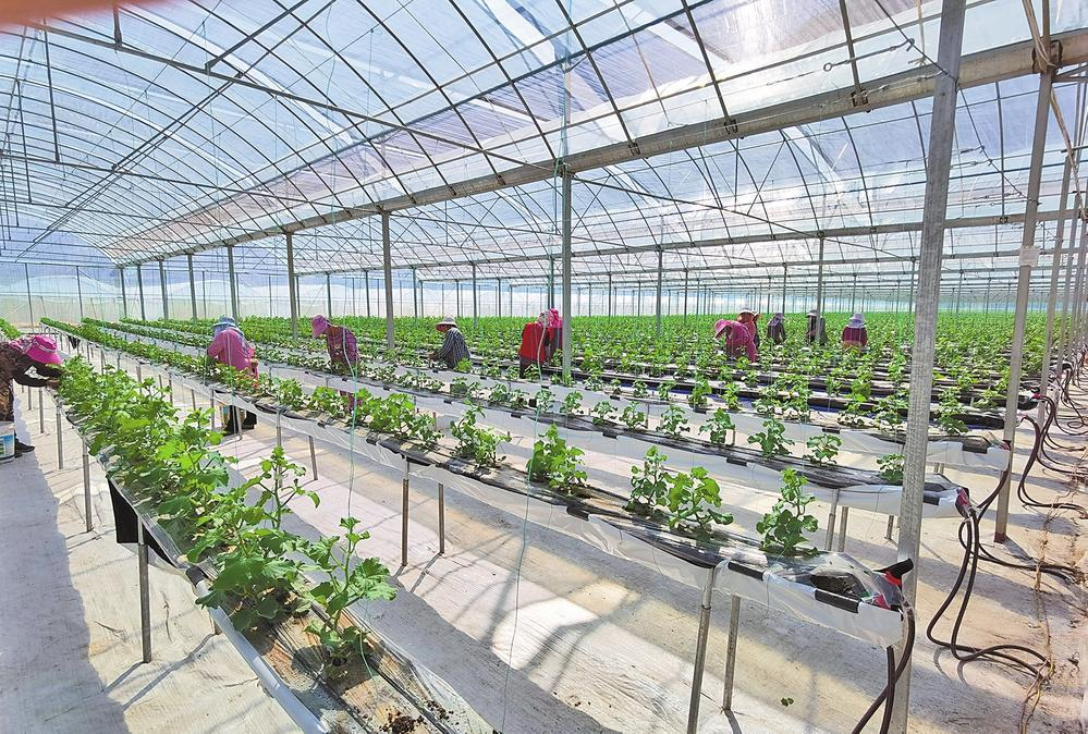 幫扶車間 幫扶車間