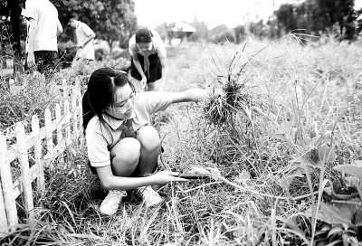 跨學科學習怎么“跨” 讓知識在情境中活起來 跨學科學習怎么“跨” 讓知識在情境中活起來