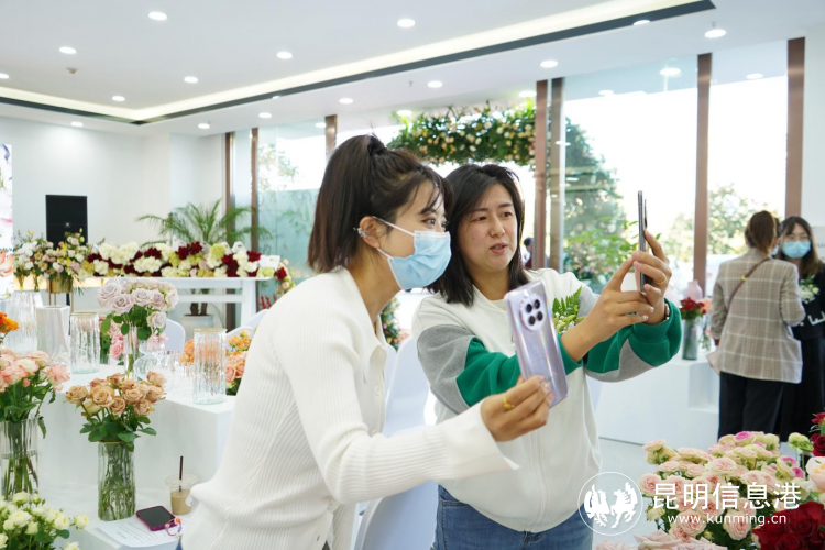 1230653_2048x2048 1230653_2048x2048