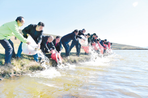 工作人員在五大連池投放魚苗。記者楊艷輝攝
