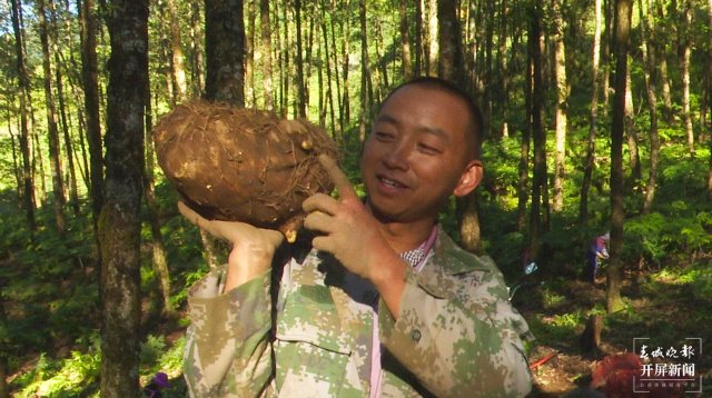 鎮(zhèn)康魔芋產(chǎn)業(yè)助力村集體經(jīng)濟(jì)開花結(jié)果(李麗君攝2022年11月10日) (4).jpg