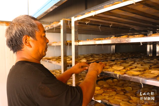 鎮(zhèn)康魔芋產(chǎn)業(yè)助力村集體經(jīng)濟(jì)開花結(jié)果(李麗君攝2022年11月10日) (15).JPG