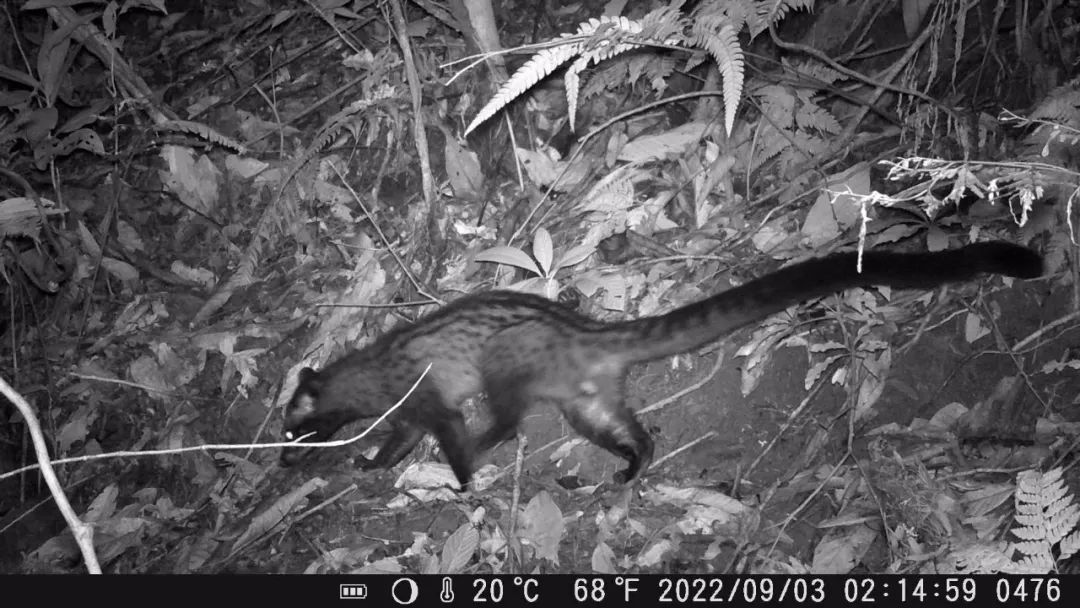 1668689887071 1668689887071