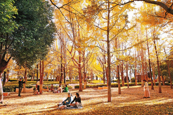 微信圖片_20221119095643 微信圖片_20221119095643