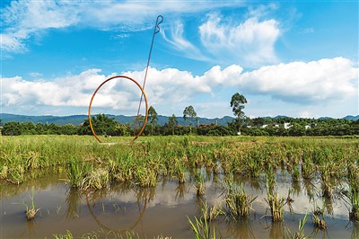 rmrbhwb2022111907p361_b