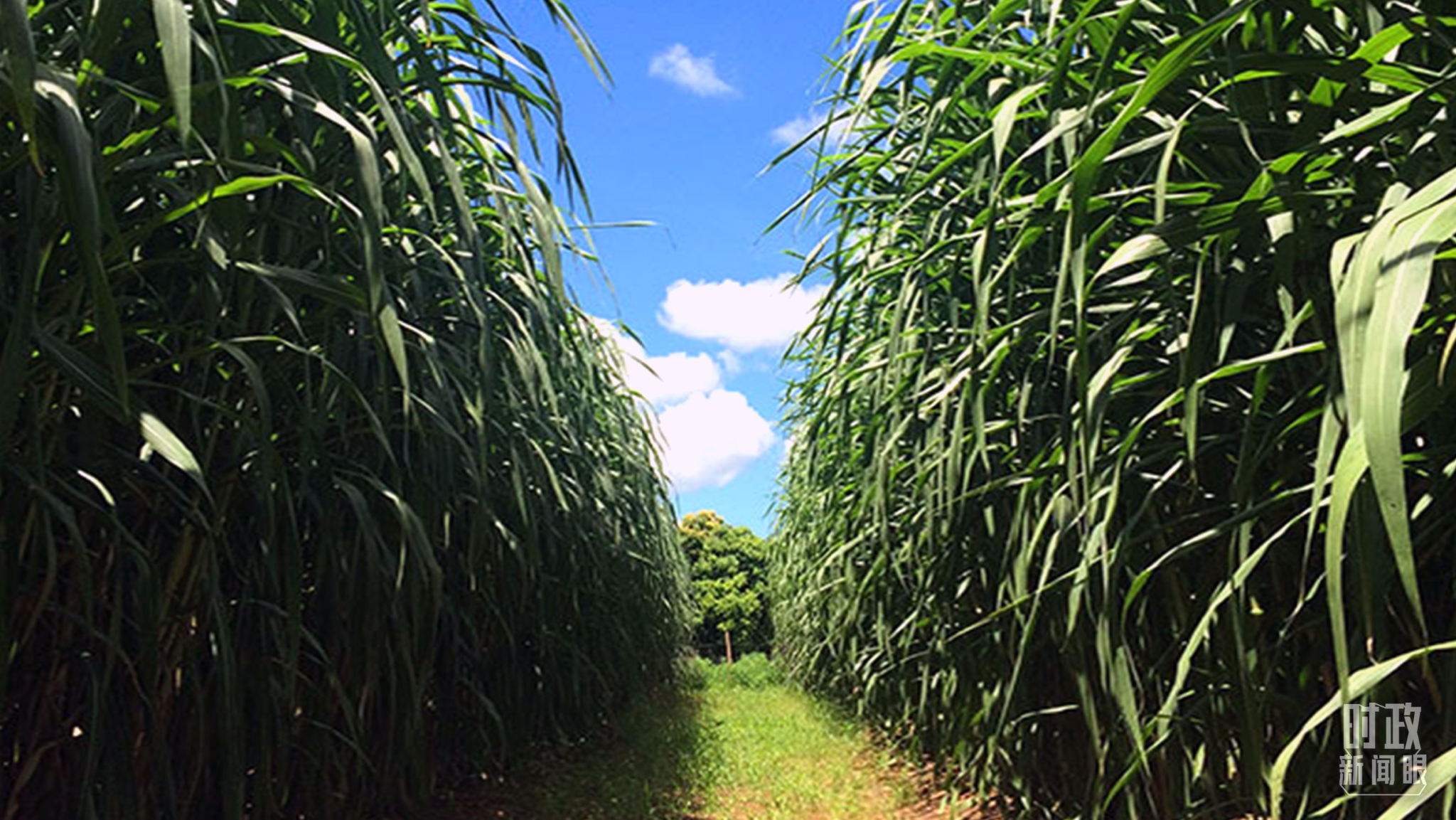 9b5ae7dfb5124c76b3c7159b4a5d004f