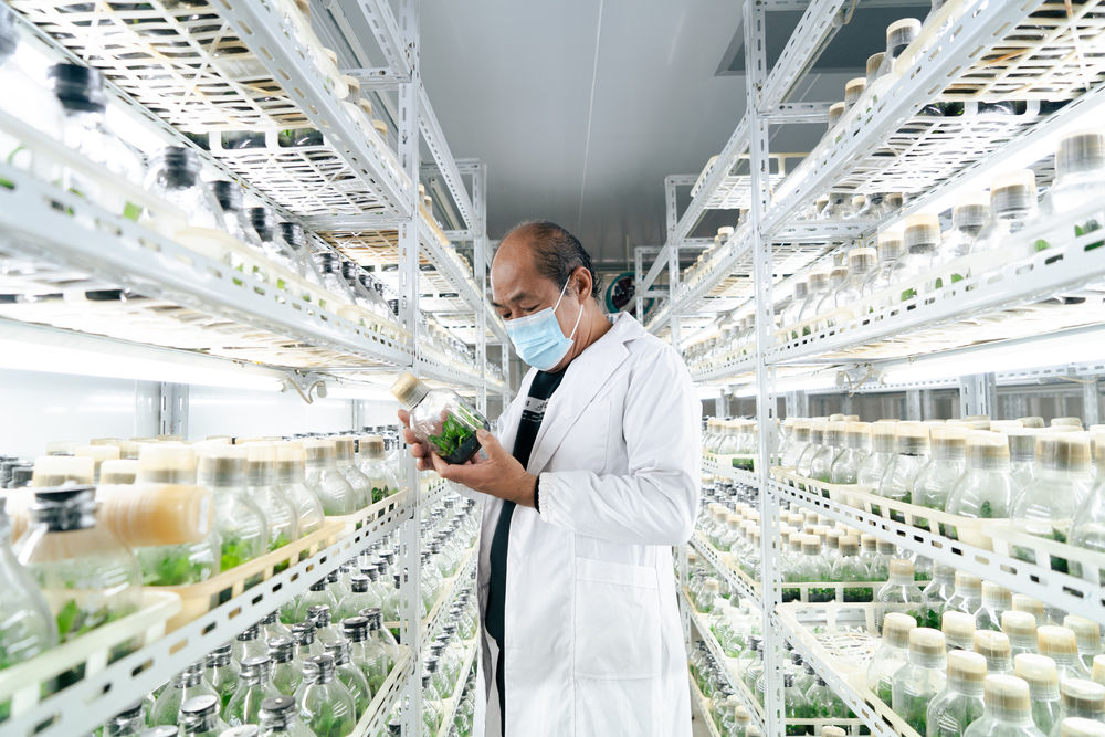 XxjnzxC007009_20221119_CBMFN0A001 XxjnzxC007009_20221119_CBMFN0A001