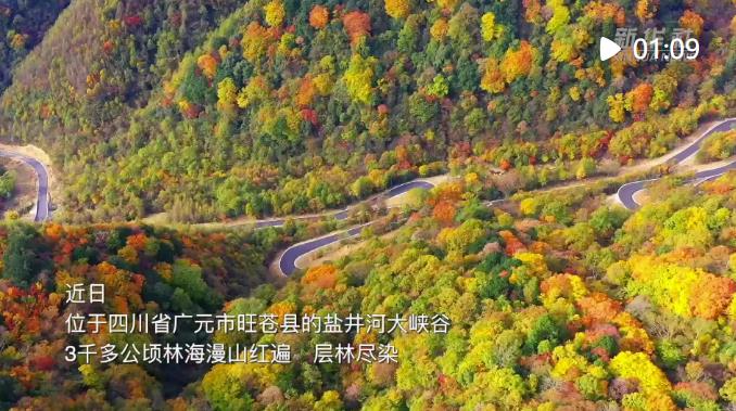 360截圖16610716355675