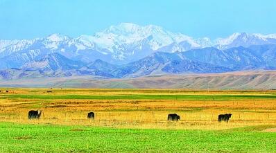 甘肅:青山作屏惠民生 甘肅:青山作屏惠民生
