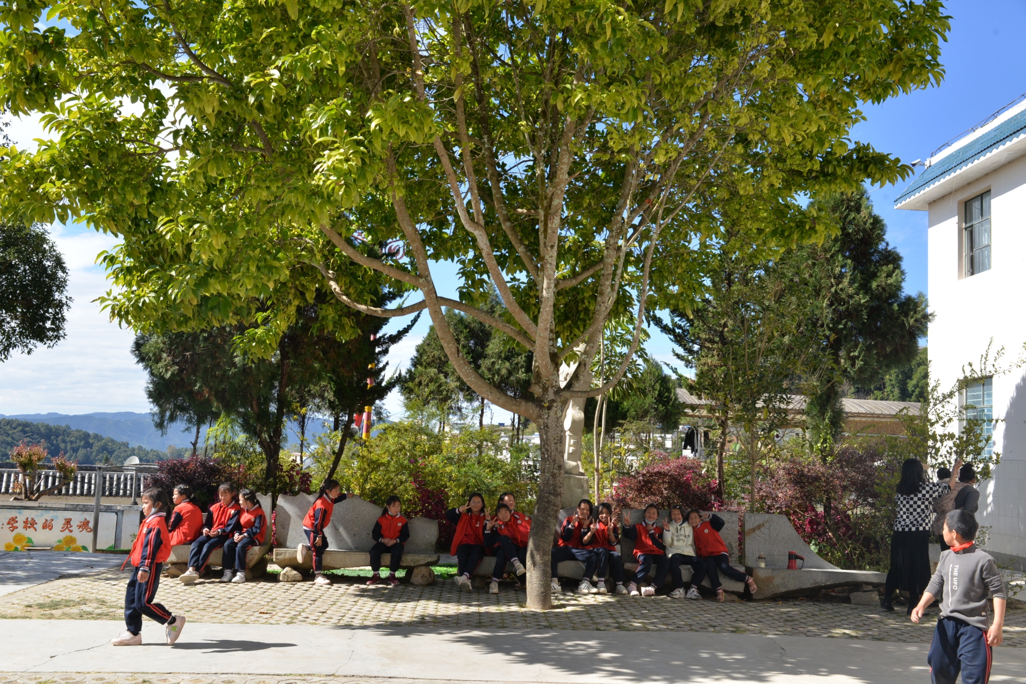 20221121110902559 20221121110902559