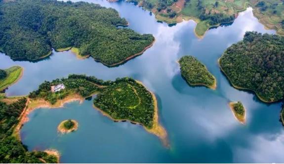 1668996553698234.jpg 05.jpg