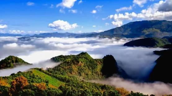 1668996614246379.jpg 06.jpg