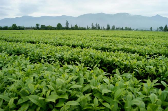 1668996634893480.jpg 07.jpg