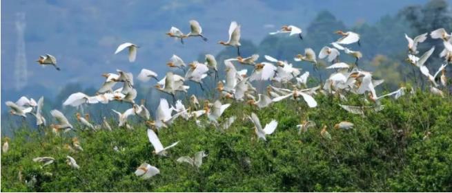 1668996678323757.jpg 09.jpg