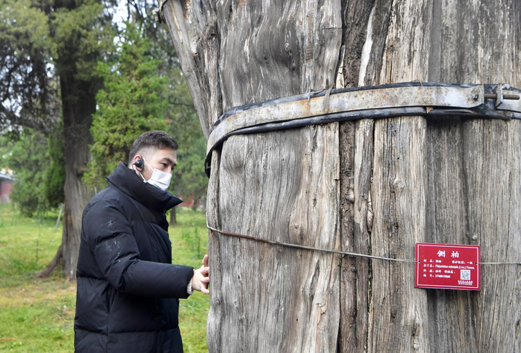 圖片默認標題_fororder_圖片6