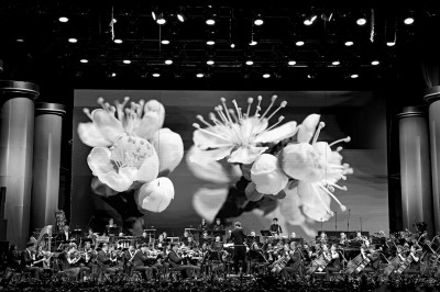 res1303_attpic_brief res1303_attpic_brief