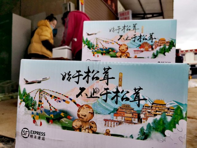 順豐定制香格里拉松茸專屬包裝箱.jpeg