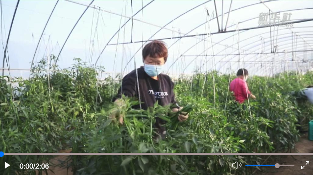 截屏2022-11-26 下午8.11.20