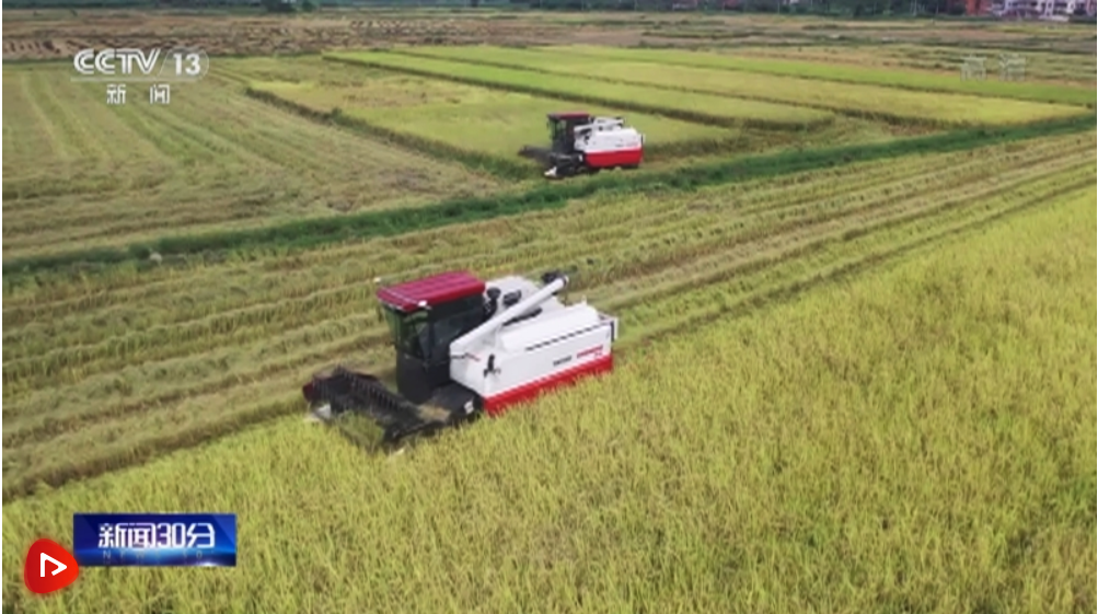 截屏2022-11-26 下午8.13.04