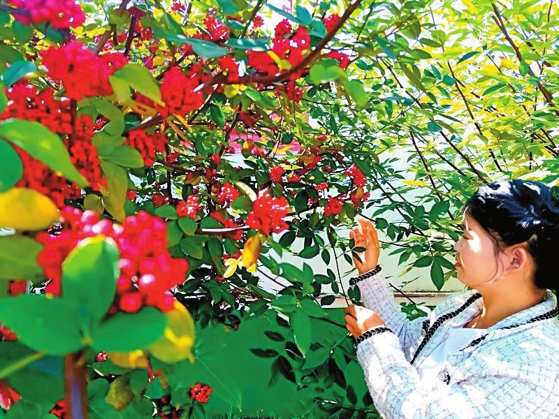 微信圖片_20221127094216