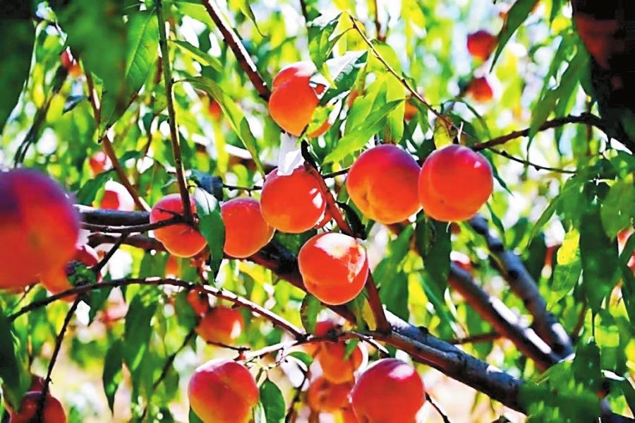 企業(yè)微信截圖_16695234269865