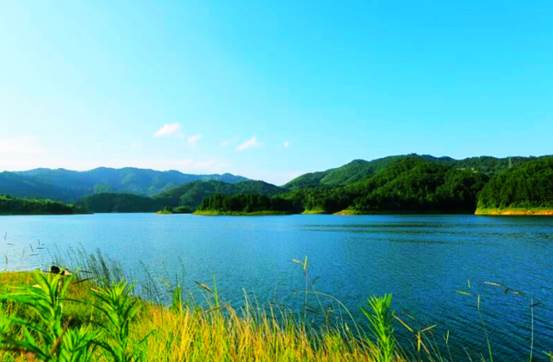 1523a3b9-218b-493f-b730-d128c864b0bb