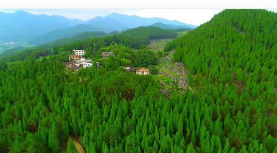 508236d8-3724-45fc-b3b2-949b63231eda