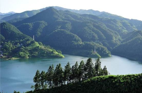 8b2a3c7a-1cc3-40b2-80d2-e453a282be4c