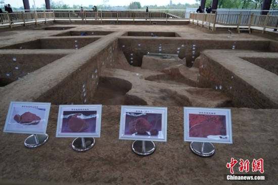 12990529160139762462