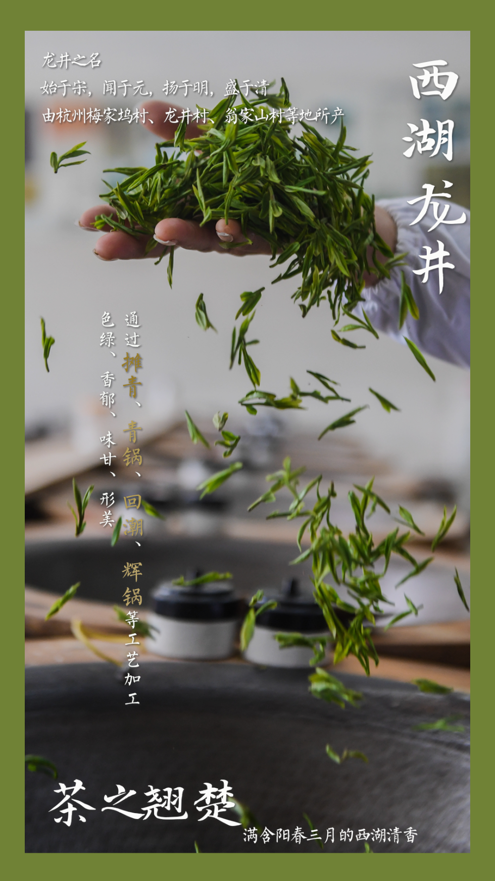 鏡觀中國丨這，就是中國茶