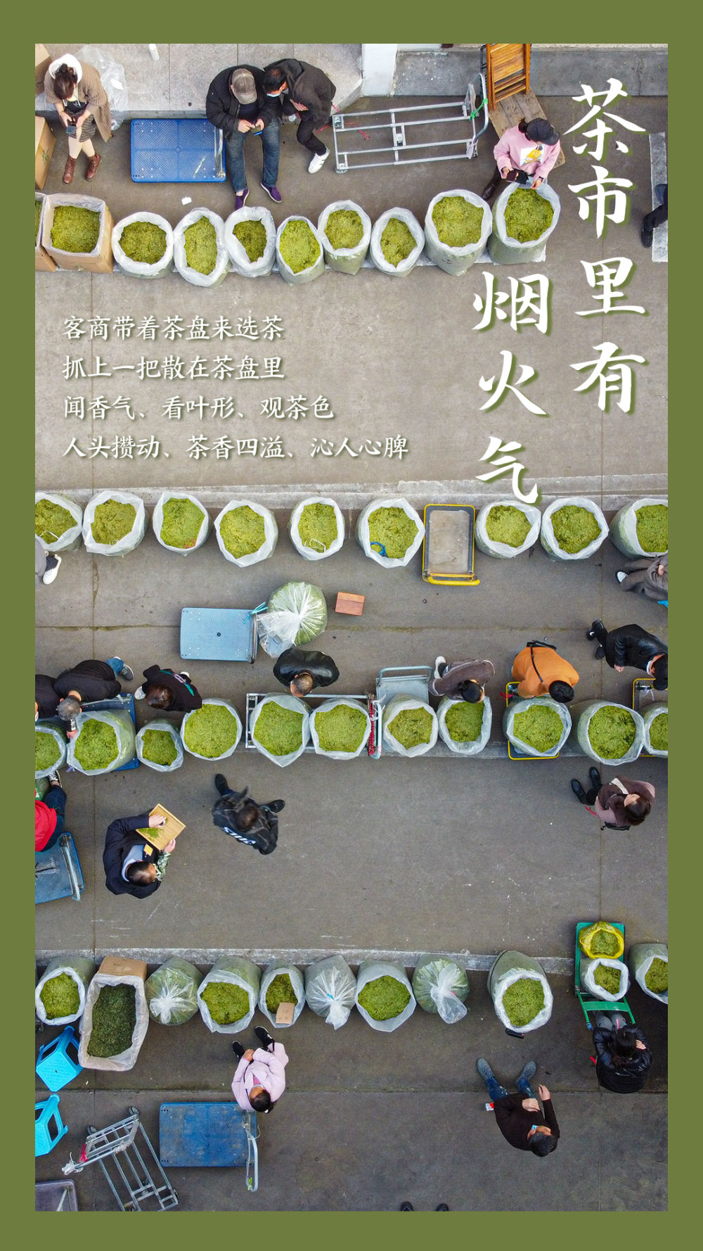 鏡觀中國丨這，就是中國茶