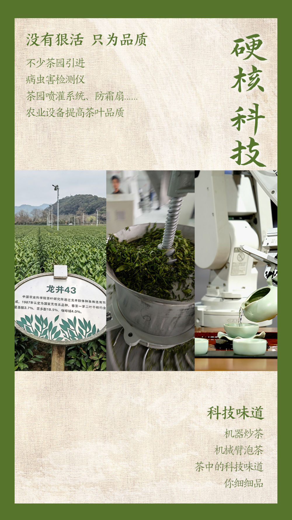 鏡觀中國丨這，就是中國茶