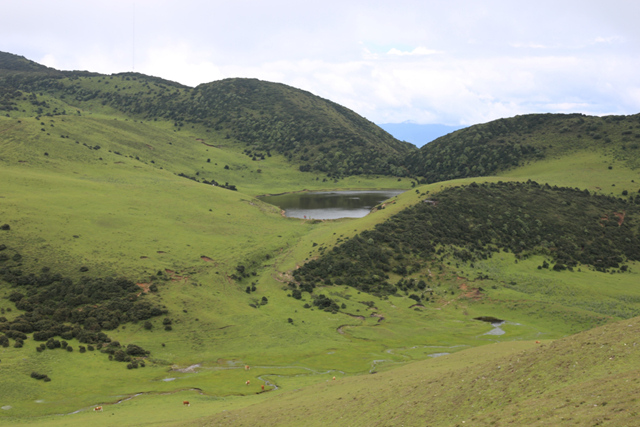 微信圖片_20221205121030