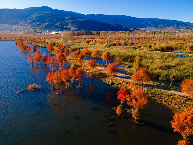 微信圖片_20221202101915