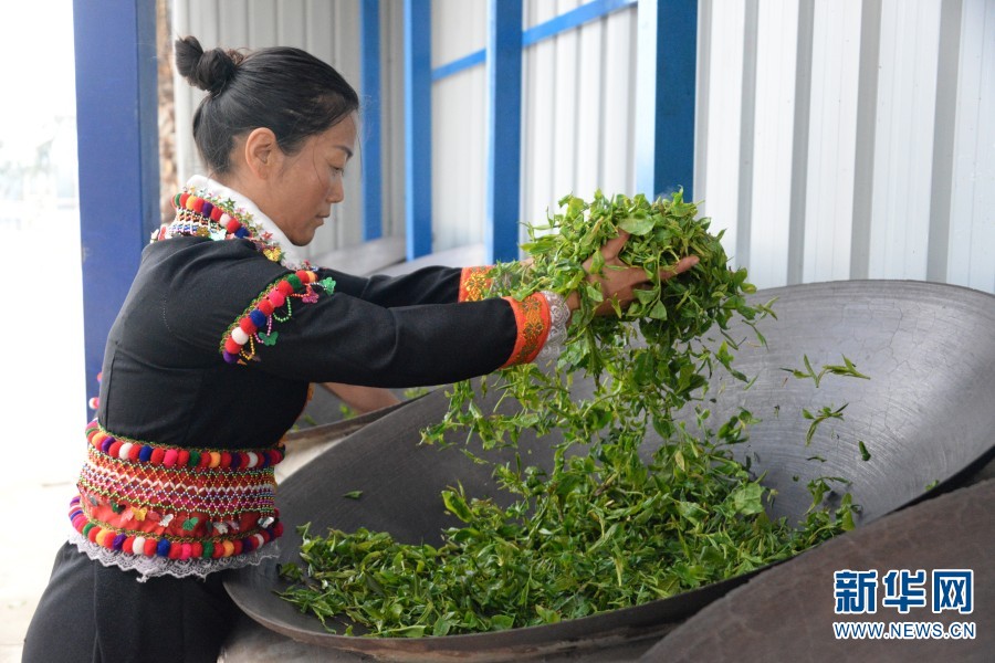 1310681930_16703740087391n 1310681930_16703740087391n