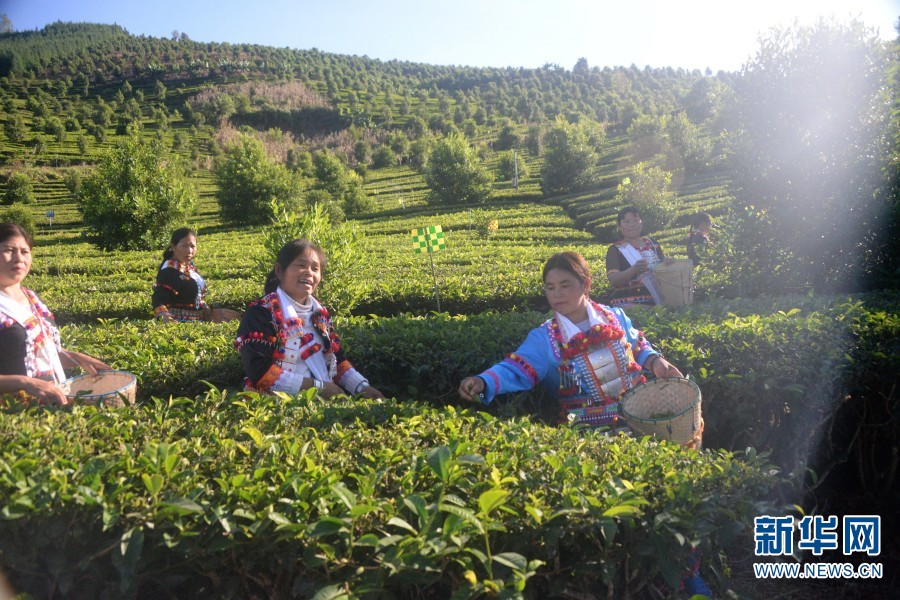 1310681930_16703740087741n 1310681930_16703740087741n