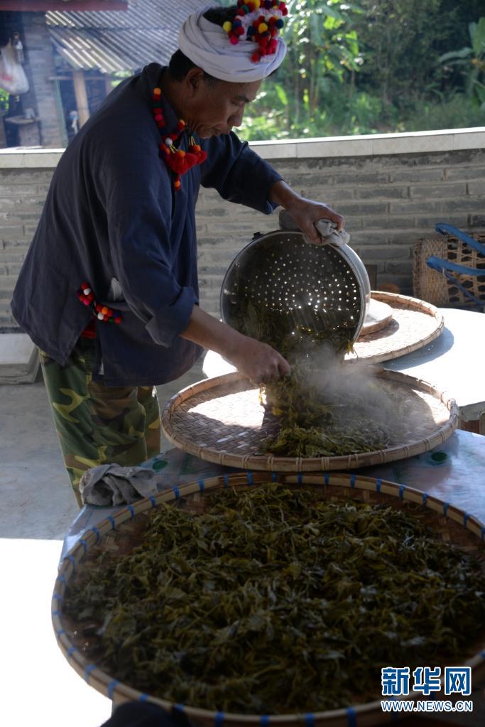 1310681930_16703740088141n 1310681930_16703740088141n