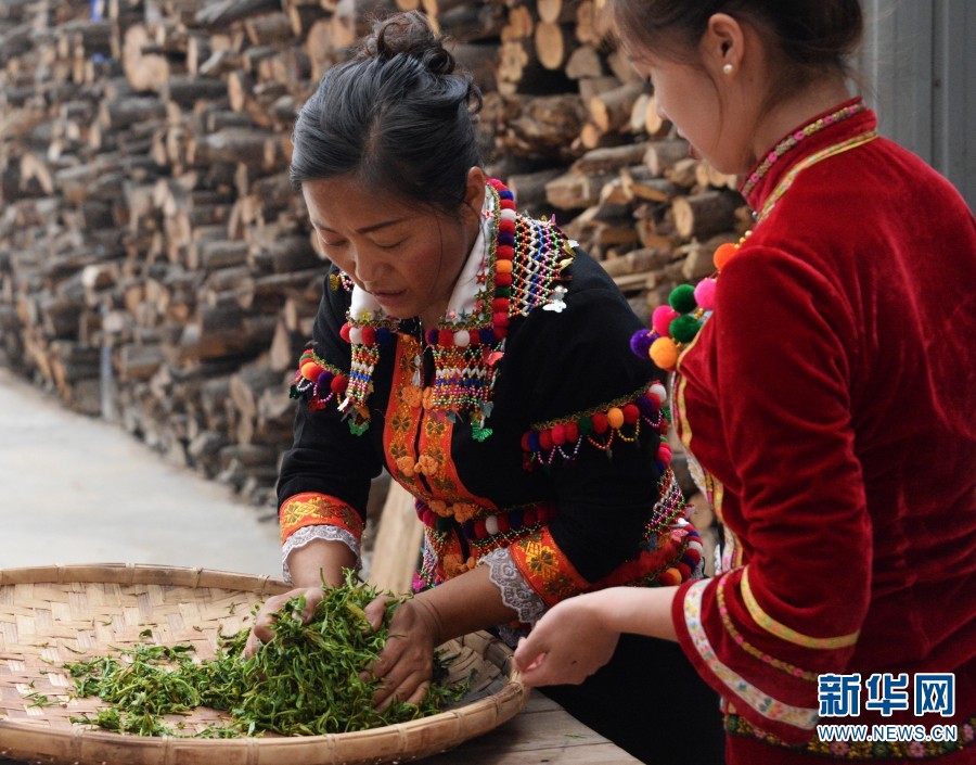 1310681930_16703740088891n 1310681930_16703740088891n