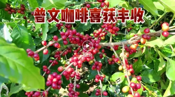 企業(yè)微信截圖_16704687105376 企業(yè)微信截圖_16704687105376