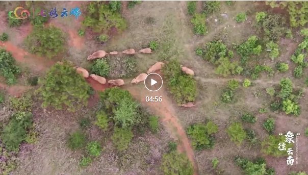 企業(yè)微信截圖_16705546162736